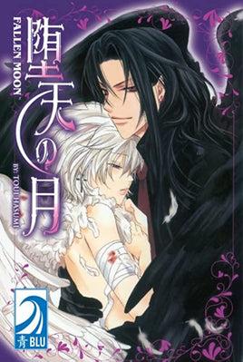 Fallen Moon - The Mage's Emporium Blu Fantasy manga Older Teen Used English Manga Japanese Style Comic Book