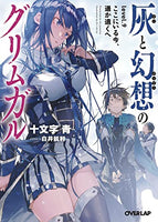 Grimgar of Fantasy and Ash Vol 9 - The Mage's Emporium Seven Seas Missing Author Need all tags Used English Light Novel Japanese Style Comic Book