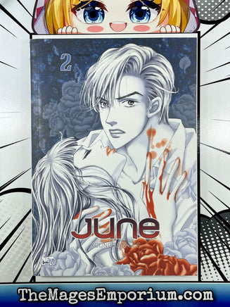June Vol 2 - The Mage's Emporium NetComics Drama Older Teen Used English Manga Japanese Style Comic Book
