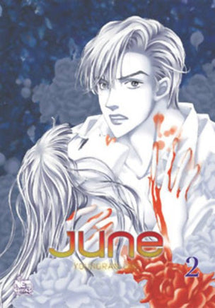 June Vol 2 - The Mage's Emporium NetComics Drama Older Teen Used English Manga Japanese Style Comic Book