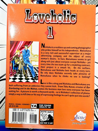 Loveholic Vol 1 Yaoi - The Mage's Emporium June Missing Author Used English Manga Japanese Style Comic Book