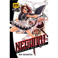 Negima! Magister Negi Magi Vol 25 - The Mage's Emporium The Mage's Emporium Kodansha Manga Older Teen Used English Manga Japanese Style Comic Book