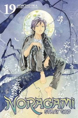 Noragami Stray God Vol 19 - The Mage's Emporium Kodansha 2403 alltags description Used English Manga Japanese Style Comic Book