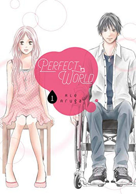 Perfect World Vol 1 - The Mage's Emporium Kodansha Missing Author Need all tags Used English Manga Japanese Style Comic Book