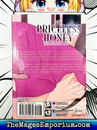 Princess Honey - The Mage's Emporium June 2312 alltags description Used English Manga Japanese Style Comic Book