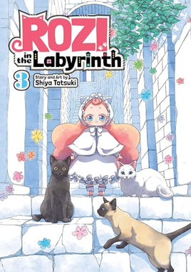 Rozi in the Labyrinth Vol 3 - The Mage's Emporium Seven Seas 2402 alltags description Used English Manga Japanese Style Comic Book