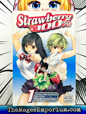 Strawberry 100% Vol 1 - The Mage's Emporium Viz Media Missing Author Used English Manga Japanese Style Comic Book