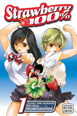 Strawberry 100% Vol 1 - The Mage's Emporium Viz Media Older Teen Shonen Update Photo Used English Manga Japanese Style Comic Book