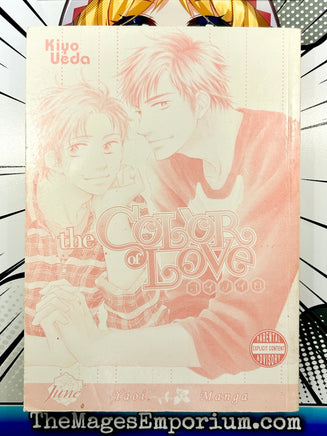 The Color of Love - The Mage's Emporium June Used English Manga Japanese Style Comic Book