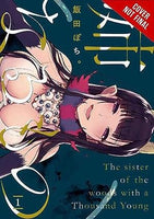 The Elder Sister-Like One Vol 1 - The Mage's Emporium Yen Press Used English Manga Japanese Style Comic Book