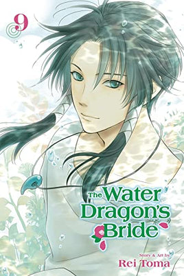 The Water Dragon's Bride Vol 9 - The Mage's Emporium Viz Media English Shojo Teen Used English Manga Japanese Style Comic Book
