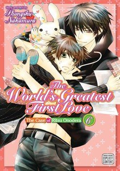 The World's Greatest First Love The Case of Ritsu Onodera Vol 6 - The Mage's Emporium Sublime Missing Author Used English Manga Japanese Style Comic Book