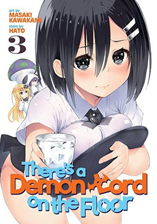There's a Demon Lord on the Floor Vol 3 - The Mage's Emporium Seven Seas Missing Author Used English Manga Japanese Style Comic Book