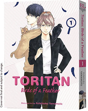 Toritan: Birds of a Feather Vol 1 - The Mage's Emporium Sublime copydes outofstock Used English Manga Japanese Style Comic Book