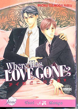 Where Has Love Gone Yaoi - The Mage's Emporium DMP english manga the-mages-emporium Used English Manga Japanese Style Comic Book