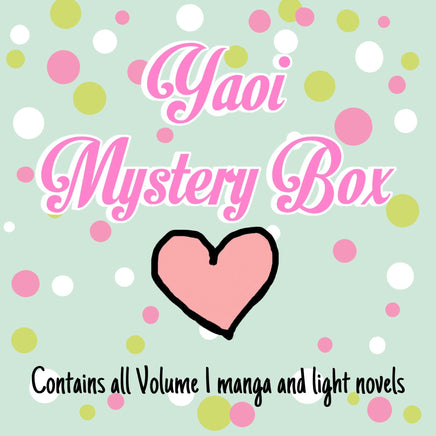 Yaoi Vol 1's Mystery Manga Box - English Mixed Manga - The Mage's Emporium The Mage's Emporium Used English Manga Japanese Style Comic Book